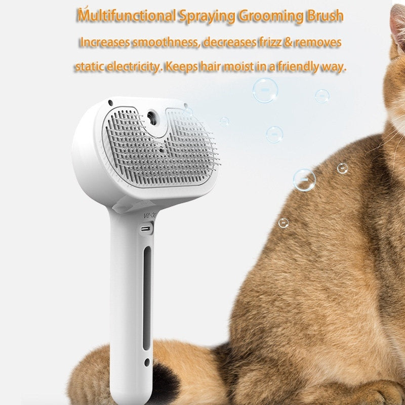 Spraying Hair Remover Brush