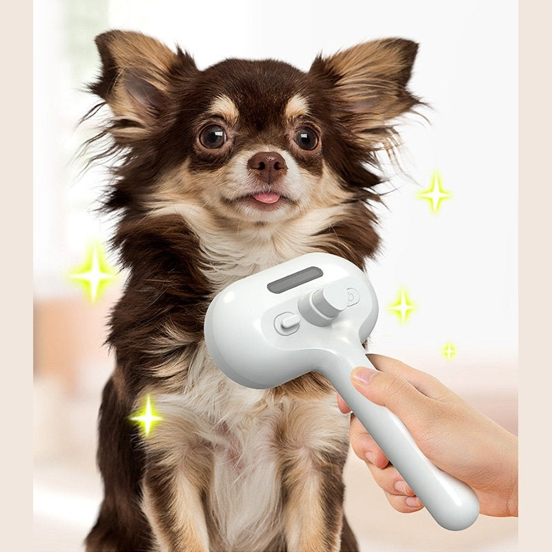 Spraying Hair Remover Brush