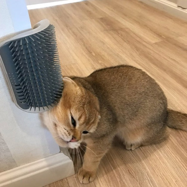 Cat Self-Grooming Wall Rubbing Brush